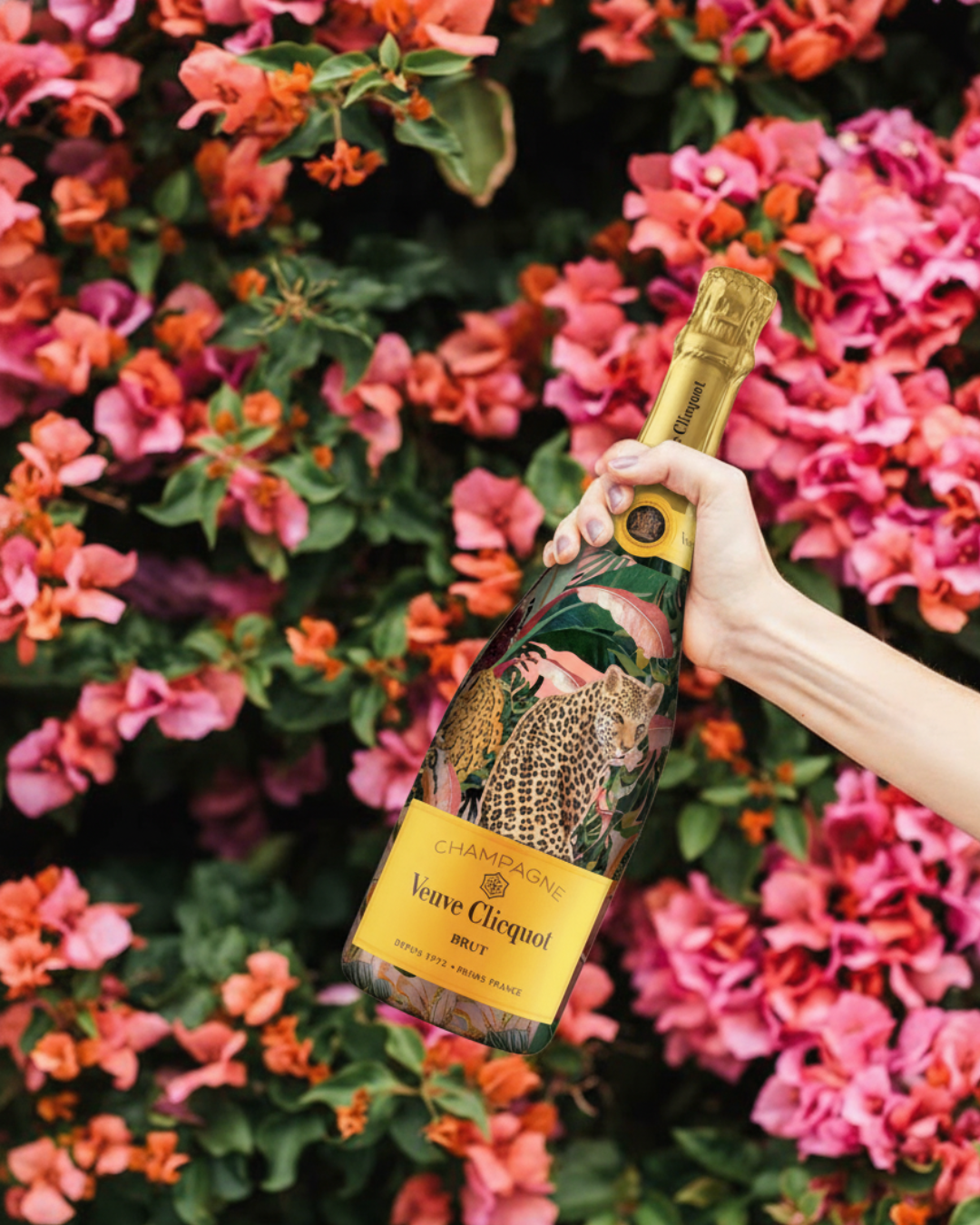 Midnight Safari Champagne Cover