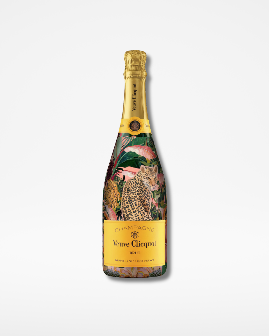 Midnight Safari Champagne Cover