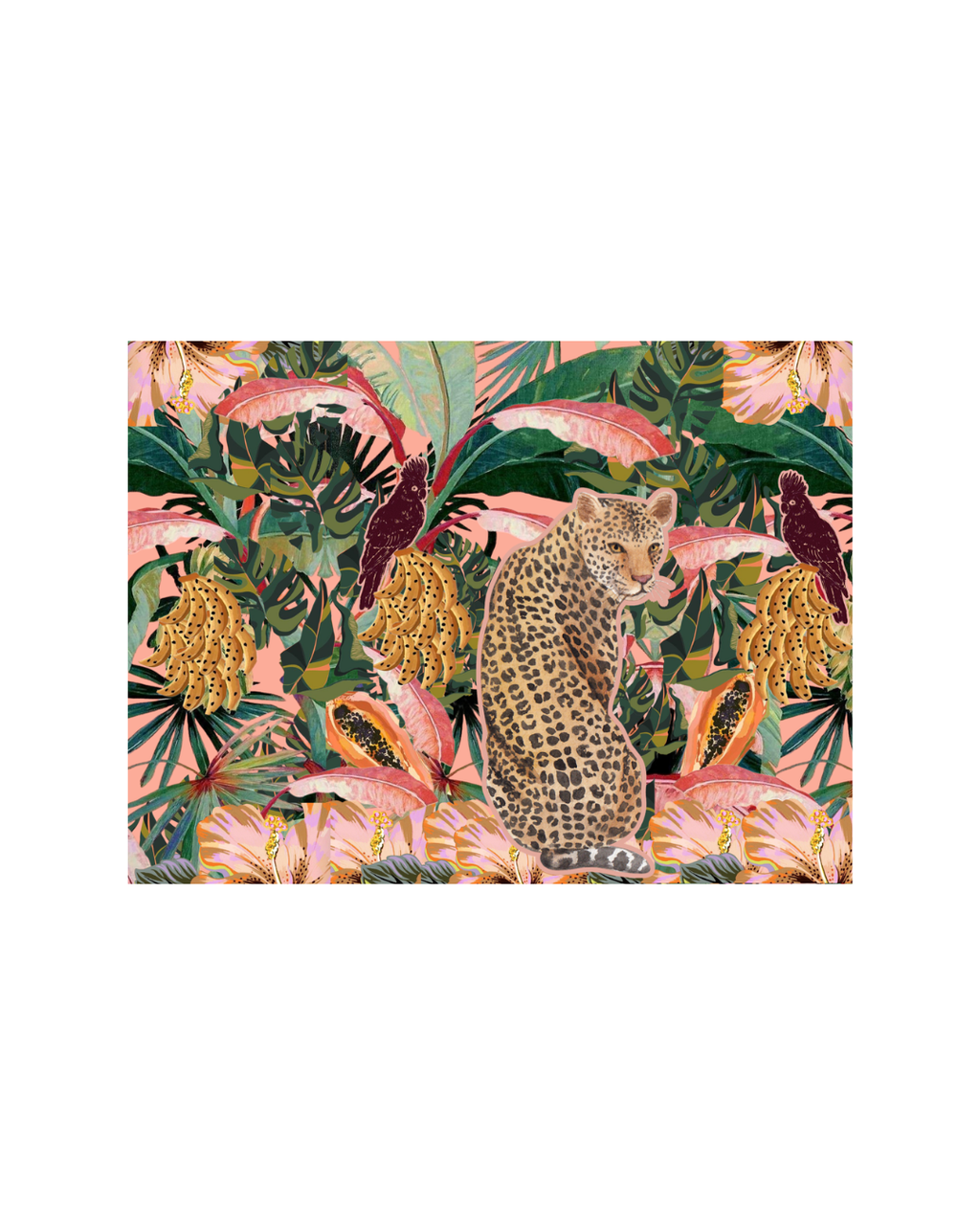 Midnight Safari Champagne Cover